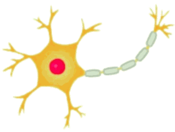 Neurônio